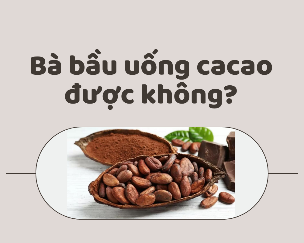 Bà bầu uống cacao được không