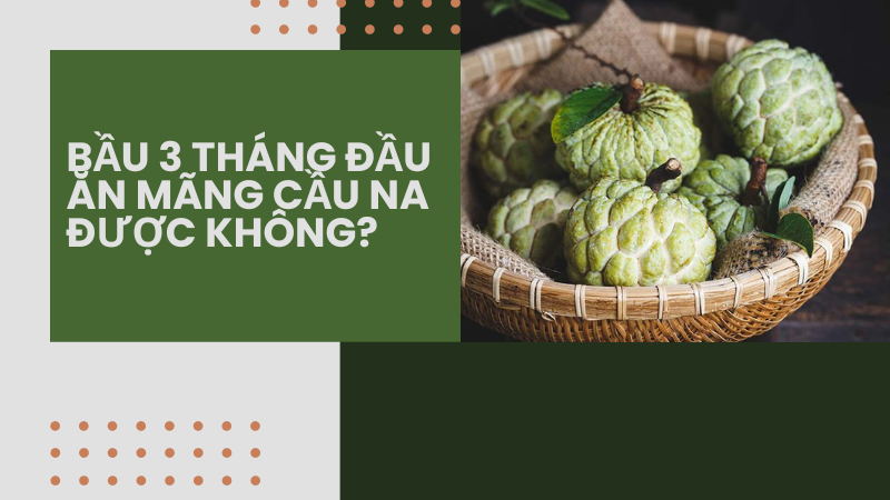 Bầu 3 tháng đầu ăn mãng cầu na được không?