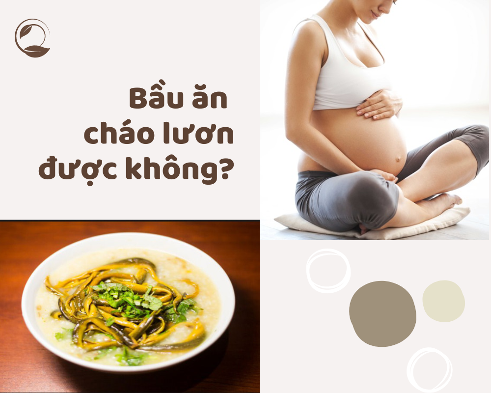 Bầu ăn cháo lươn được không