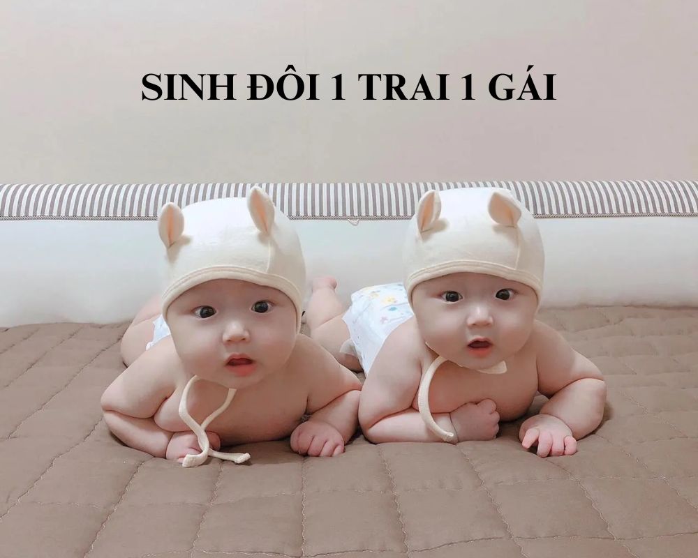 sinh đôi 1 trai 1 gái