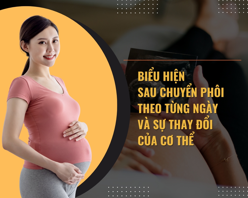 Biểu hiện sau chuyển phôi