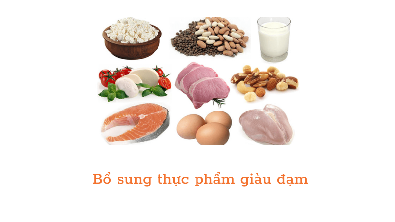 Bổ sung thực phẩm giàu đạm