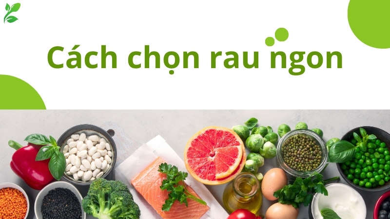 Làm thế nào để chọn rau tươi, ngon