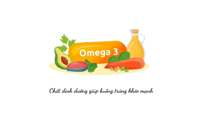 Omega 3 giúp buồng trứng khỏe mạnh