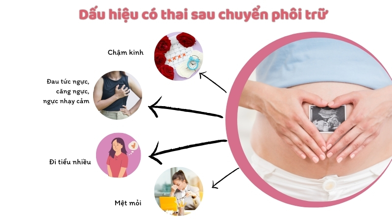 Dấu hiệu có thai sau chuyển phôi đông lạnh