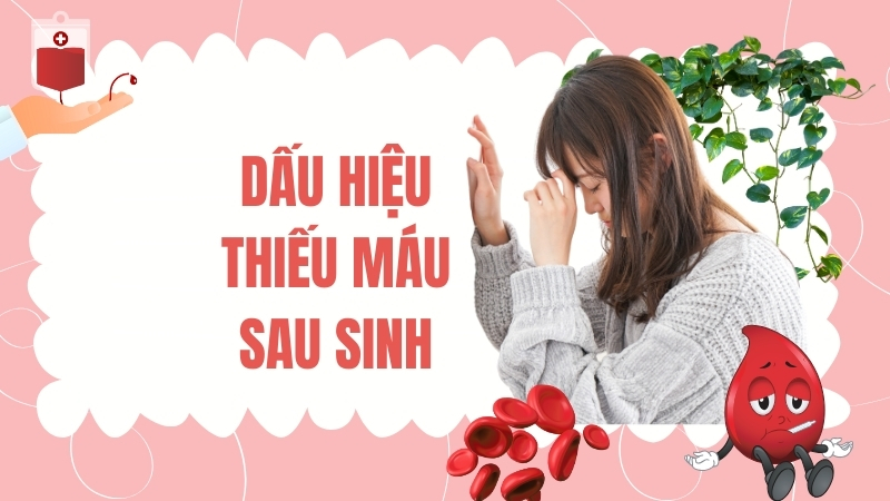 Dấu hiệu của tình trạng thiếu máu sau sinh