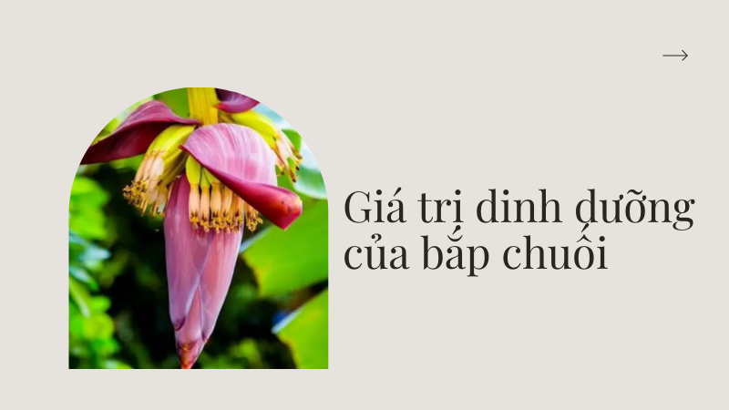 Giá trị dinh dưỡng của bắp chuối