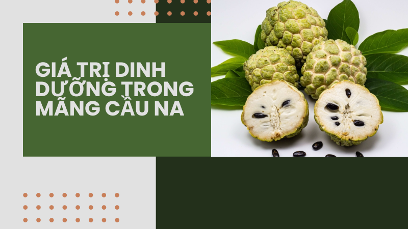 Giá trị dinh dưỡng trong mãng cầu na