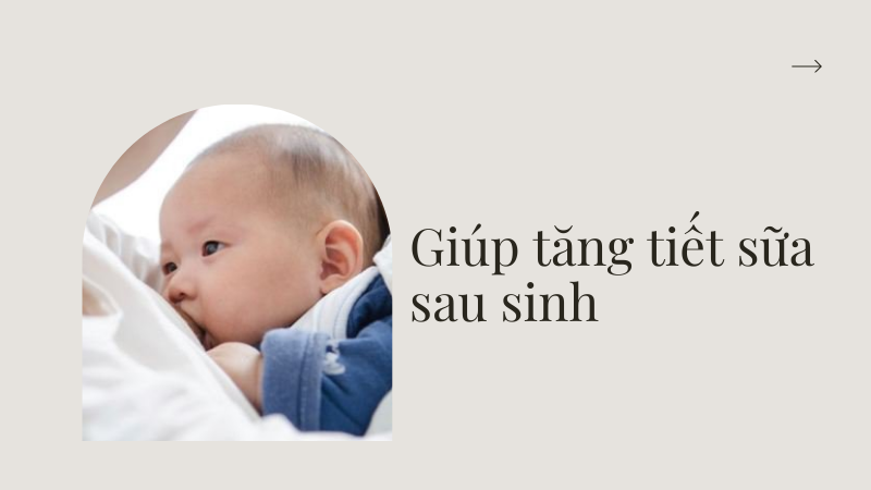 Giúp tăng tiết sữa sau sinh