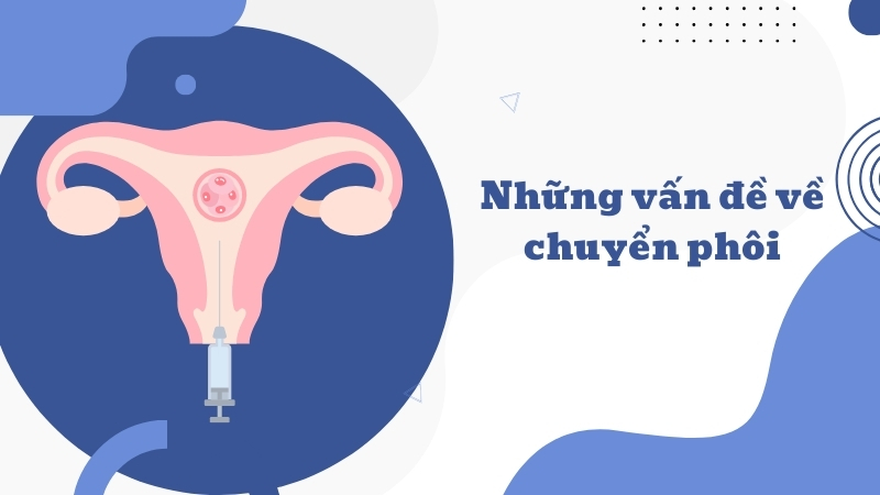 Hiểu rõ hơn về việc chuyển phôi