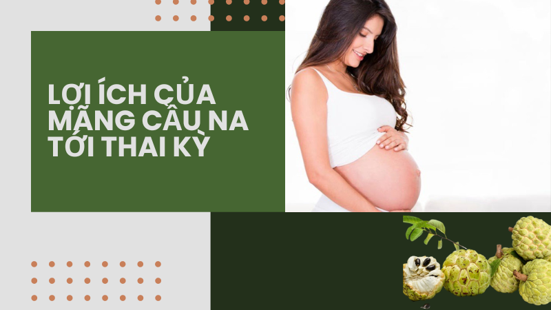 Lợi ích của mãng cầu na tới thai kỳ