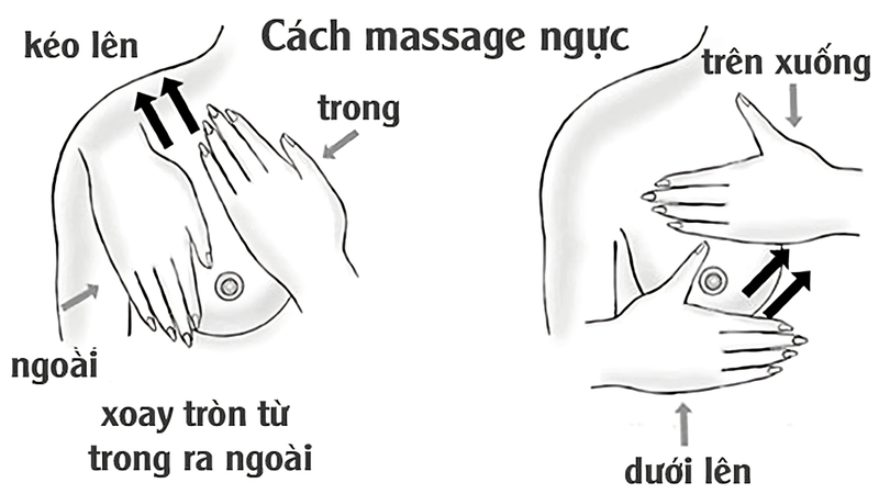 Massage bầu ngực để thông tia sữa