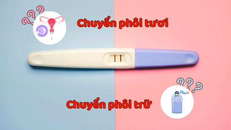 Nên chuyển phôi tươi hay phôi trữ?