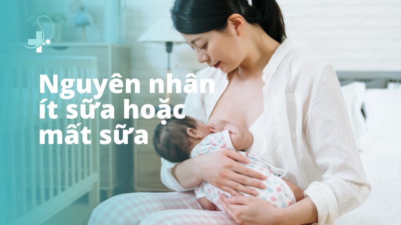 Nguyên nhân của tình trạng ít sữa, chậm sữa hoặc mất sữa hoàn toàn