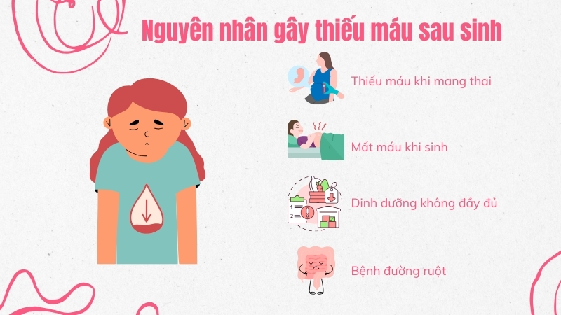 Nguyên nhân của tình trạng thiếu máu sau sinh