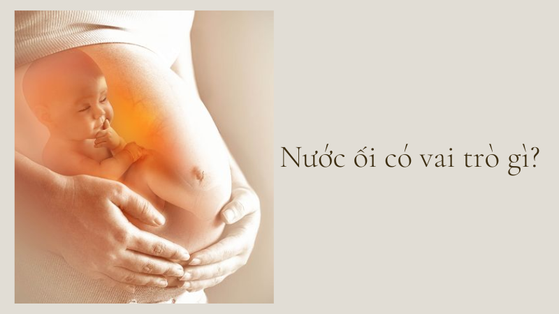 Nước ối có vai trò gì?