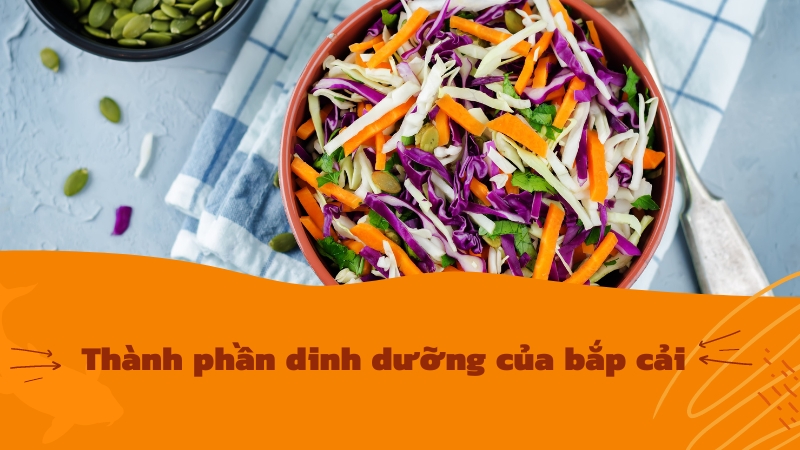 thành phần dinh dưỡng của bắp cải