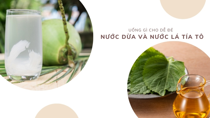 Uống gì cho dễ đẻ: Dừa và lá tía tô