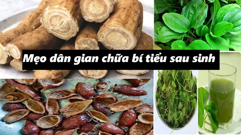 mẹo dân gian chữa bí tiểu sau khi sinh