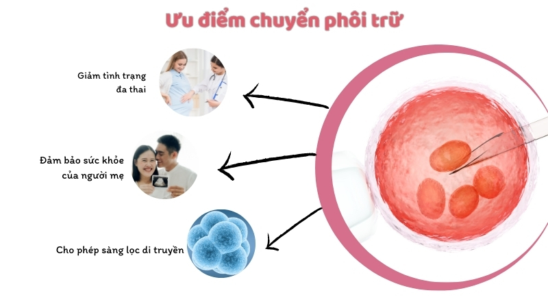 Ưu điểm của chuyển phôi đông lạnh