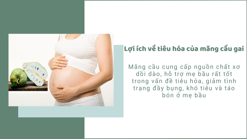 Mãng cầu gai hỗ trợ sức khỏe hệ tiêu hóa