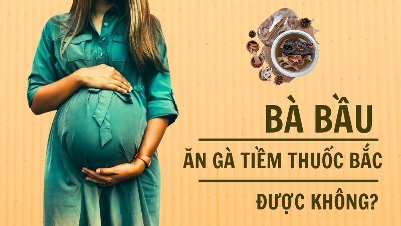 Gà tiềm thuốc bắc có tốt cho bà bầu?