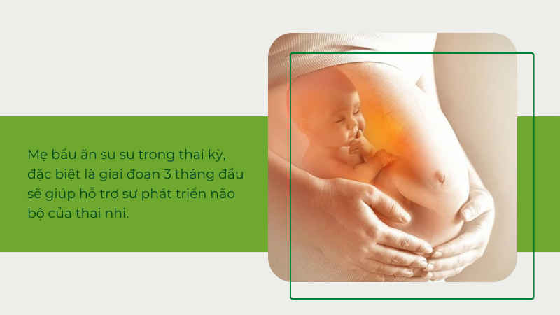 Su su hỗ trợ sự phát triển não bộ của thai nhi