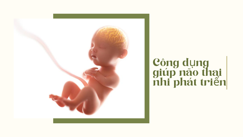 Mẹ bầu uống nghệ mật ong giúp não thai nhi phát triển