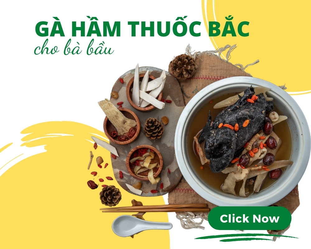 gà hầm thuốc bắc cho bà bầu