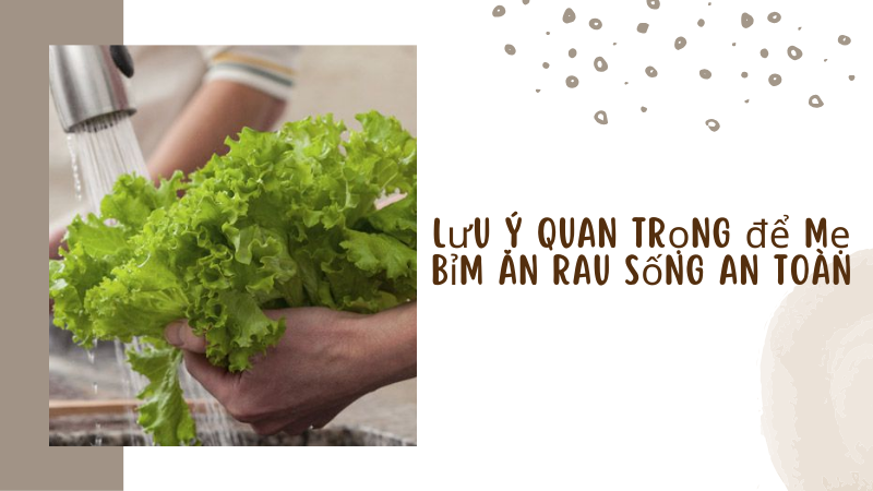 Các lưu ý để mẹ bỉm ăn rau sống an toàn