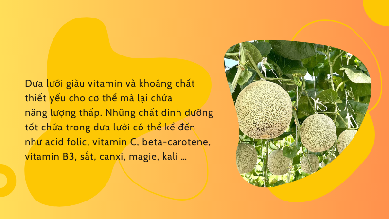 Thành phần dinh dưỡng của dưa lưới