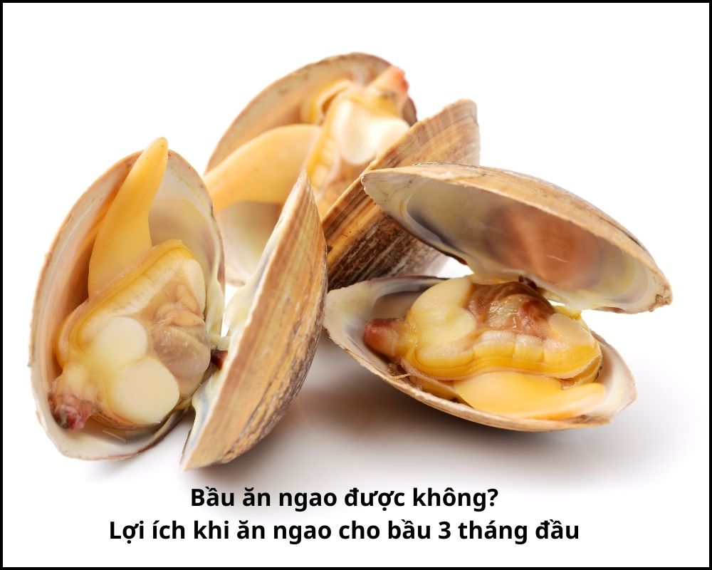 Bầu ăn ngao được không