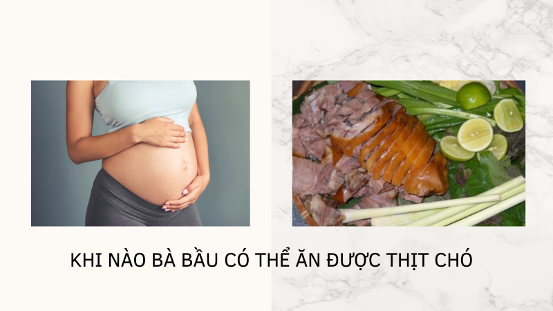 Khi nào bà bầu có thể ăn được thịt chó