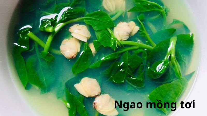 Ngao mồng tơi